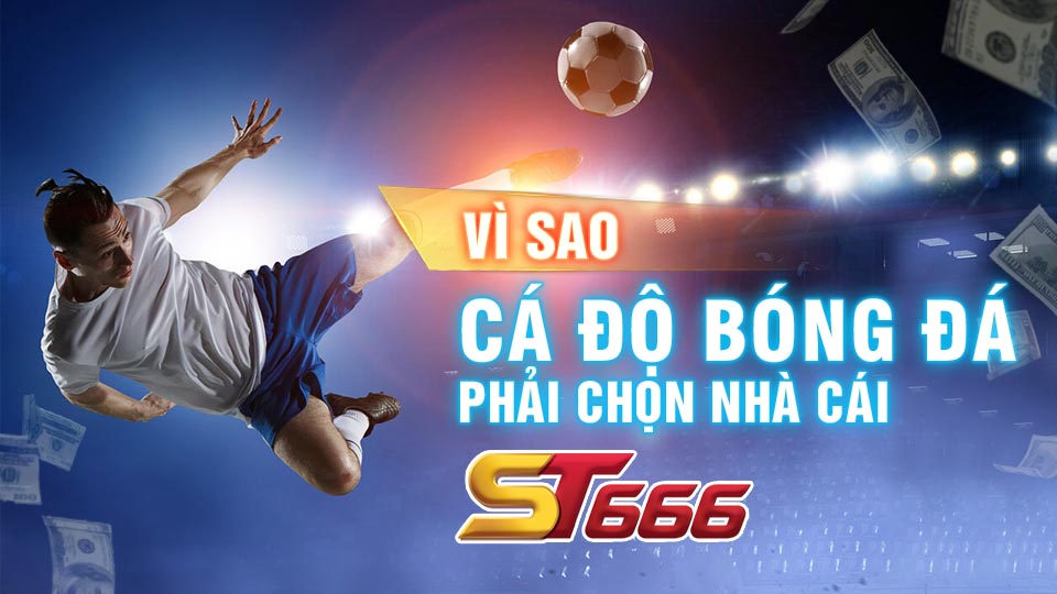 Vì sao cá độ bóng đá phải chọn nhà cái ST666